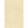 Elephant Hide Paper by Zanders - White Color