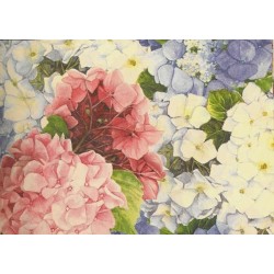 Grafiche Tassotti Decorative Paper - Hydrangea - 70cm x 100cm