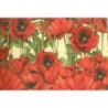 Grafiche Tassotti Decorative Paper - Poppies - 70cm x 100cm