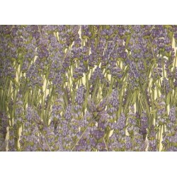 Grafiche Tassotti Decorative Paper - Lavender - 70cm x 100cm