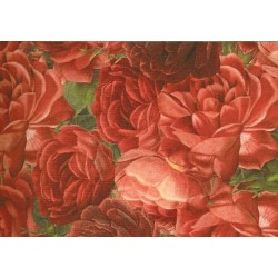 Grafiche Tassotti Decorative Paper - Red Roses - 70cm x 100cm