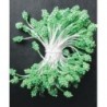 Artificial Flower Stamens - Dark Green - 2024