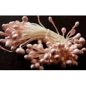 Artificial Flower Stamens - Pale Pink - 2021