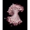 Artificial Flower Stamens - Light Pink 2 - 2021