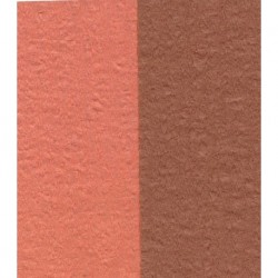 Crepe Paper - Double Sided Orange and Brown - 100 mm - 12 sheets