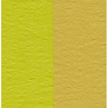 Crepe Paper -Double Sided Lime Green and Pale Yellow-150 mm- 12 sheets