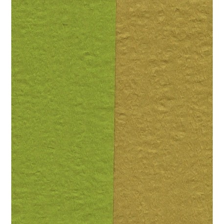 Crepe Paper - Double Sided Green and Pale Brown