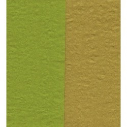 Crepe Paper - Double Sided Green-Pale Brown - 150 mm - 12 sheets