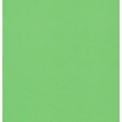 Kraft Paper by Kartos - Solid Light Green