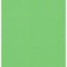 Kraft Paper by Kartos - Solid Light Green