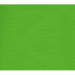 Kraft Paper Green - 600mm - 1 sheet