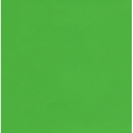 Kraft Paper Double Sided Lime Green - 300 mm - 8 sheets