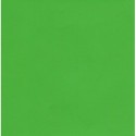Kraft Paper Double Sided Lime Green - 300 mm - 8 sheets