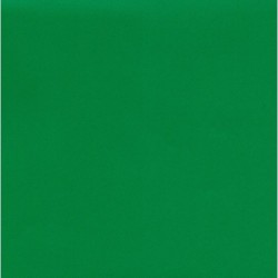 Kraft Paper Double Sided Green - 660mm - 1 sheet