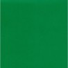 Kraft Paper Double Sided Green - 660mm - 1 sheet