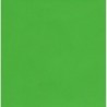 Kraft Paper Double Sided Lime Green - 660mm - 1 sheet