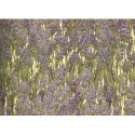 Grafiche Tassotti Decorative Paper - Lavender - Half