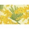 Grafiche Tassotti Decorative Paper - Mimosa - Half
