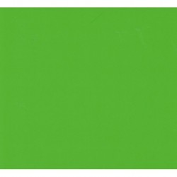 Origami Paper Lime Green - 150 mm -  40 sheets