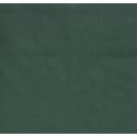 Kraft Paper Non-Stripe Forest Green (Evergreen) - 600 mm - 1 sheet
