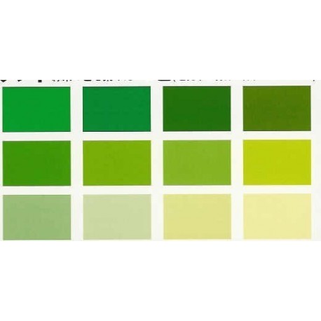 Origami Paper TANT Paper Green Color - 150 mm - 48 sheets