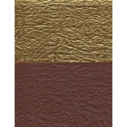 Origami Paper Double-Sided Brown and Gold Momigami Washi- 075 mm-40 sh