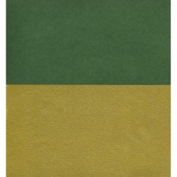 Origami Paper Double-Sided Green and Matte Gold - 150 mm -10 sheets