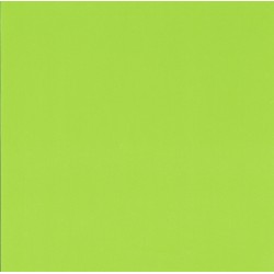 Origami Paper Yellow Green Plain Color - 150 mm - 14 sheets