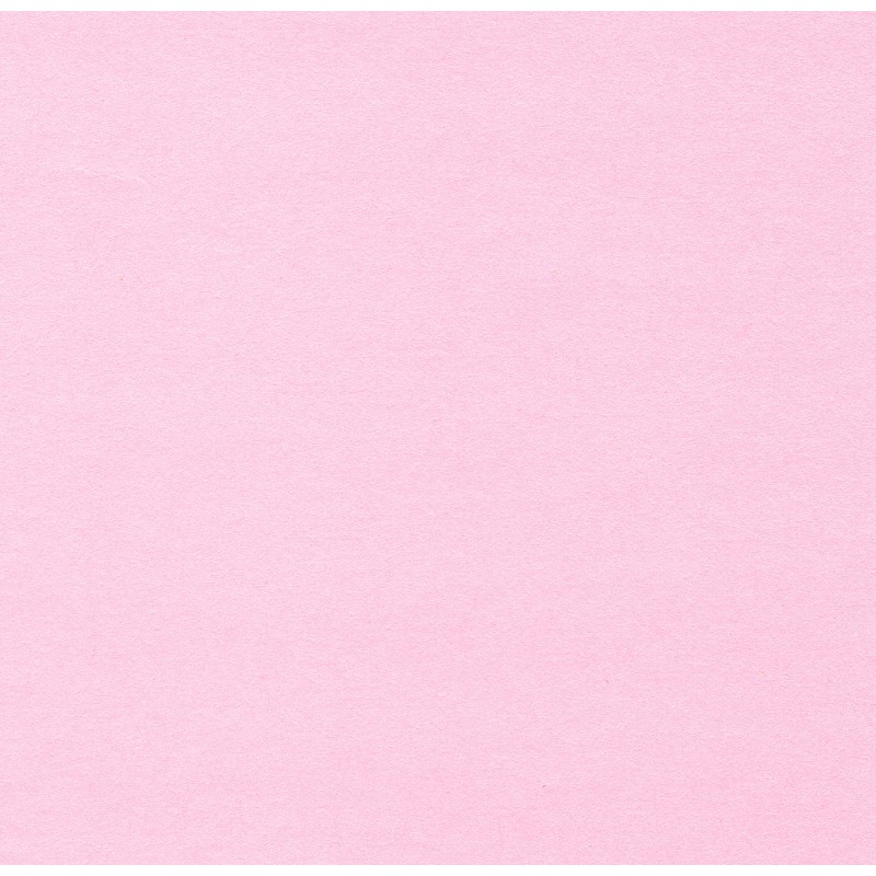 Pink Paper Sheet ubicaciondepersonas.cdmx.gob.mx