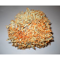 Artificial Flower Stamens Bulk - Orange Tip - 2022