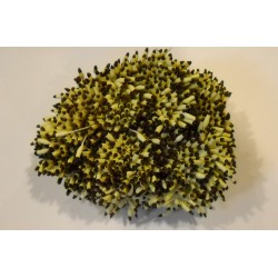 Artificial Flower Stamens Bulk - Brown - 2022