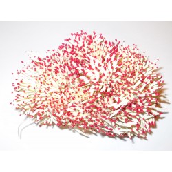 Artificial Flower Stamens Bulk - Red Tip - 2022