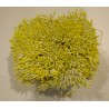 Artificial Flower Stamens Bulk - Yellow Tip - 2022