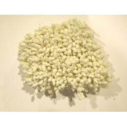 Artificial Flower Stamens Bulk - White - 2024