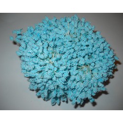 Artificial Flower Stamens Bulk - Light Blue - 2024