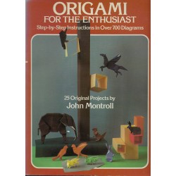 Origami For The Enthusiast