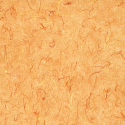 Mulberry Paper - Autumn Bronze Orange
