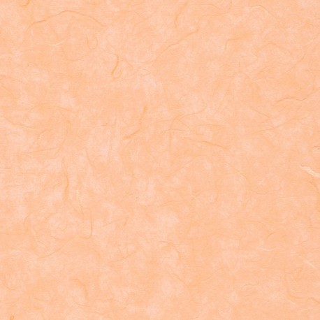 Mulberry Paper - Lite Orange