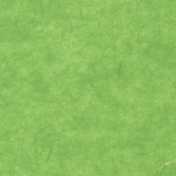 Mulberry Paper - Lite Grass Green
