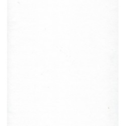 Mulberry Unryu Paper - White 