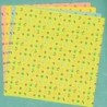 Origami Paper  Double Sided Fruit Print - 150 mm - 12 sheets