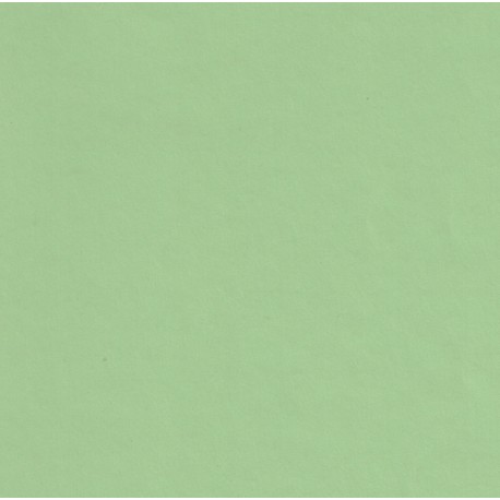 Pale GreenPaper - 300mm x 21mm