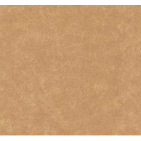 Light Brown Stucco Pattern Paper - 300mm x 21mm