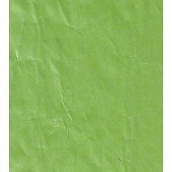 Flawed Green Paper - ~76 mm x ~44 mm