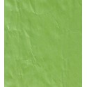 Flawed Green Paper - ~76 mm x ~44 mm