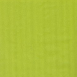 Natron Kraft Scrap Paper Light Green  End Cuts - ~12 inches x ~ 3.5 inches - 12 sheets