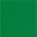 Kraft Scrap Paper Double Sided Green End Cuts - ~12 inches by ~3 inches -18 sheets