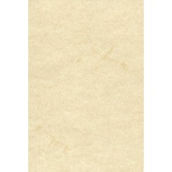Elephant Hide Paper by Zanders - White Color - 95mm - 50 sheets