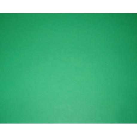 Double Sided Green Origami Paper - 220mm - 30 sheets