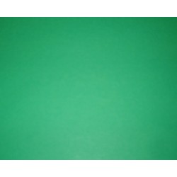 Double Sided Green Origami Paper - 220mm - 15 sheets